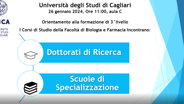 Anteprima.