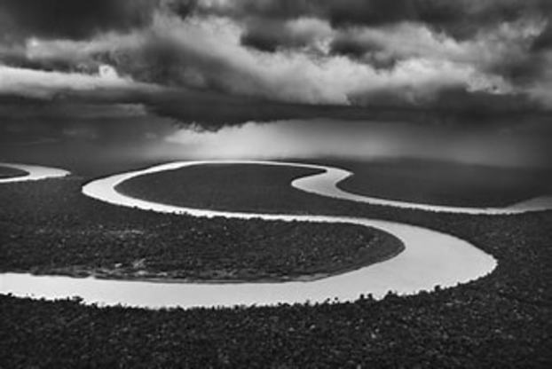 Salgado Amazonia 1.jfif