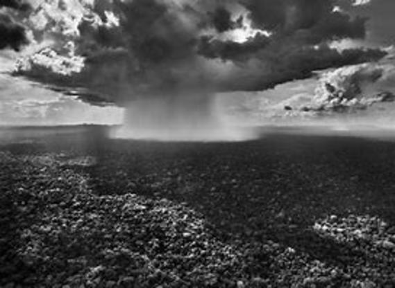 Salgado Amazonia 2.jfif