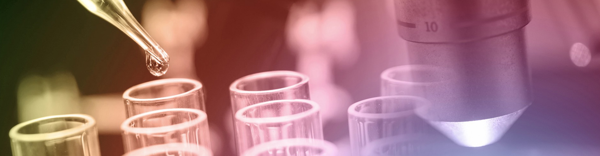 Corso di Laurea Magistrale in Ingegneria Chimica e dei Processi Biotecnologici