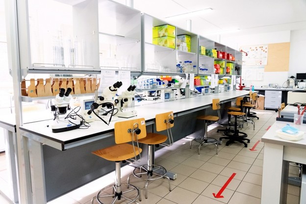 Laboratorio didattico Bioignegneria