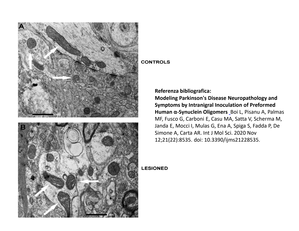 Figura 4