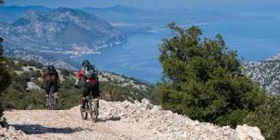 La rete cicloviaria, tra salute e benessere, valorizzazione e tutela dell'ambiente