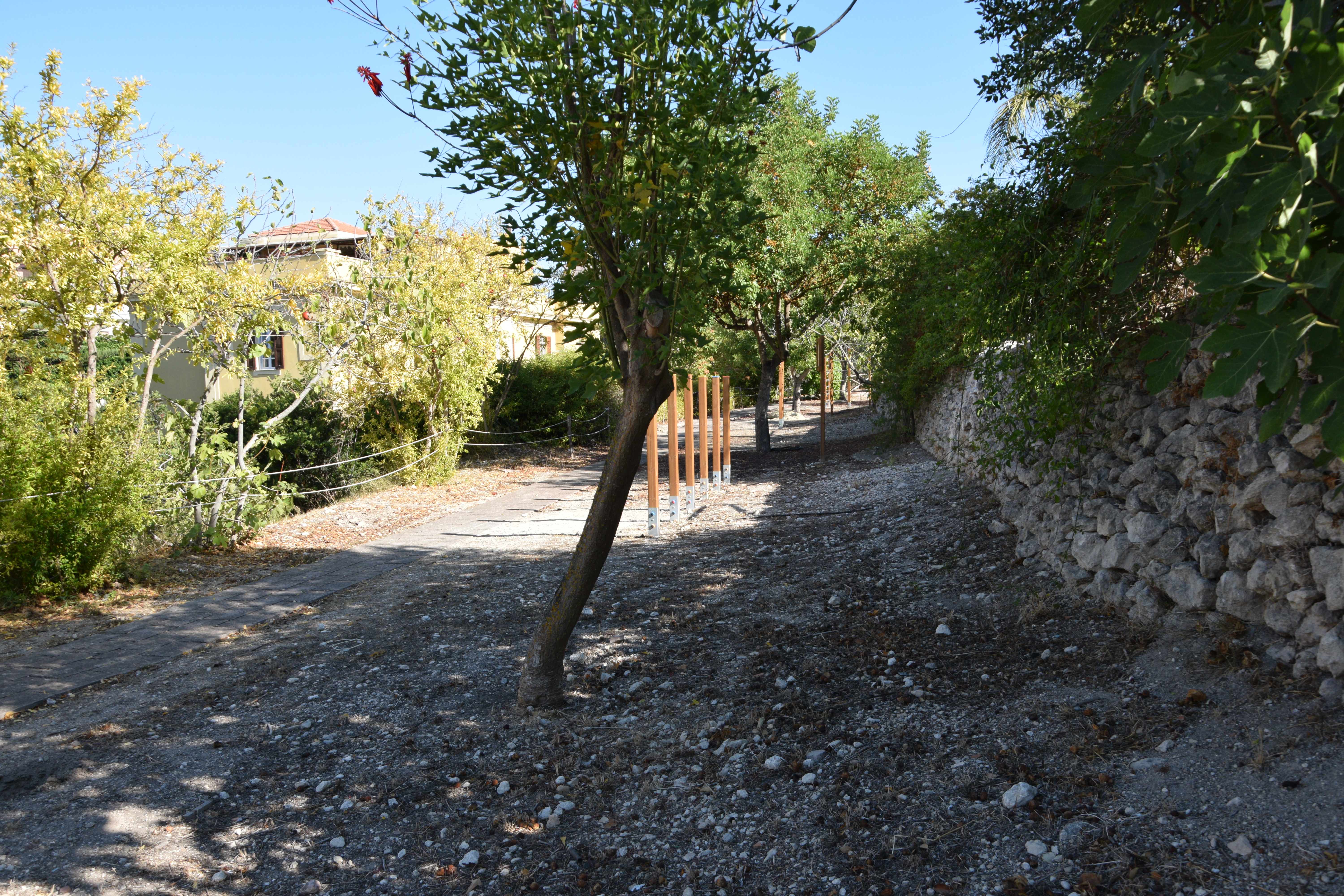Campus Garden 9