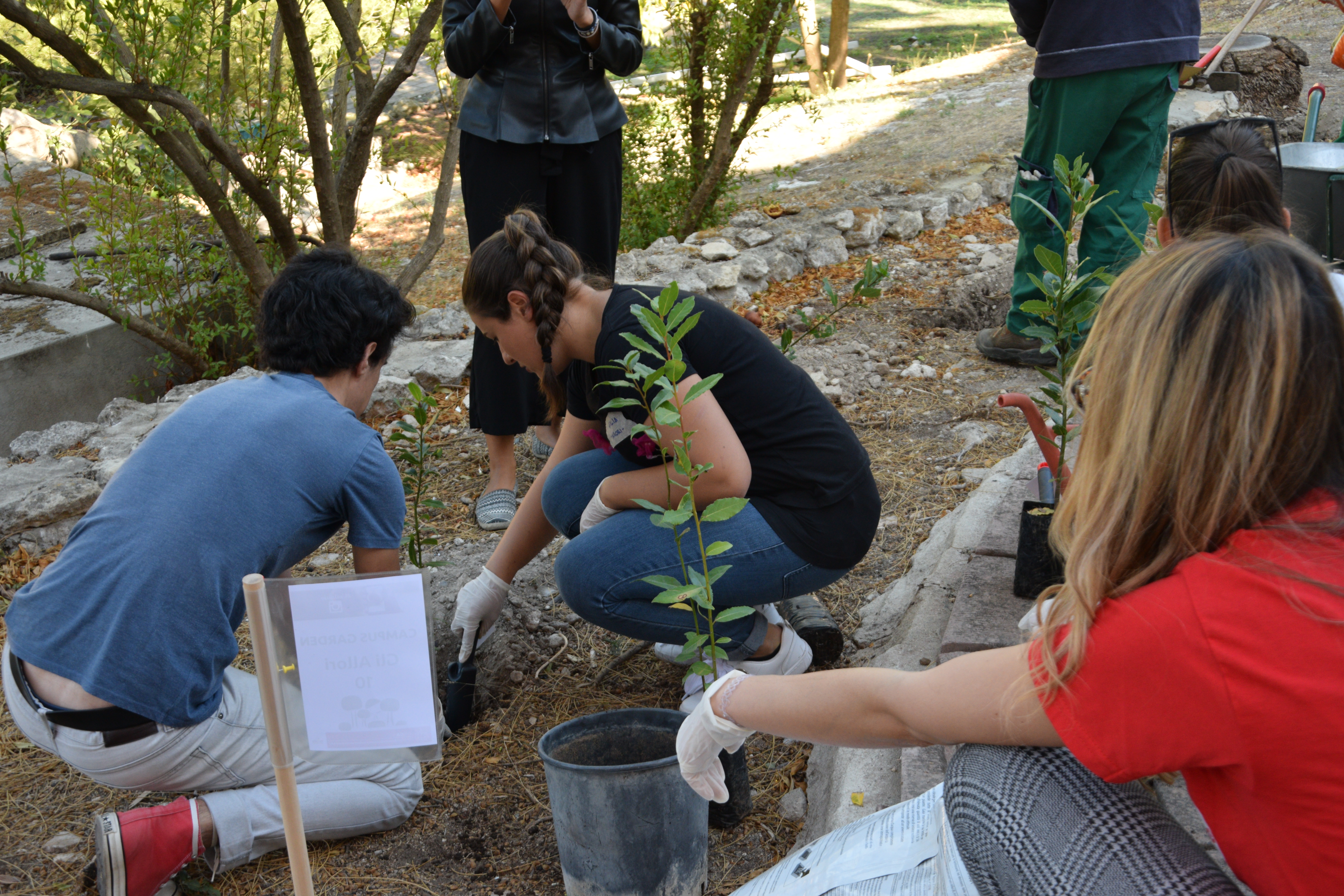 Campus Garden 11