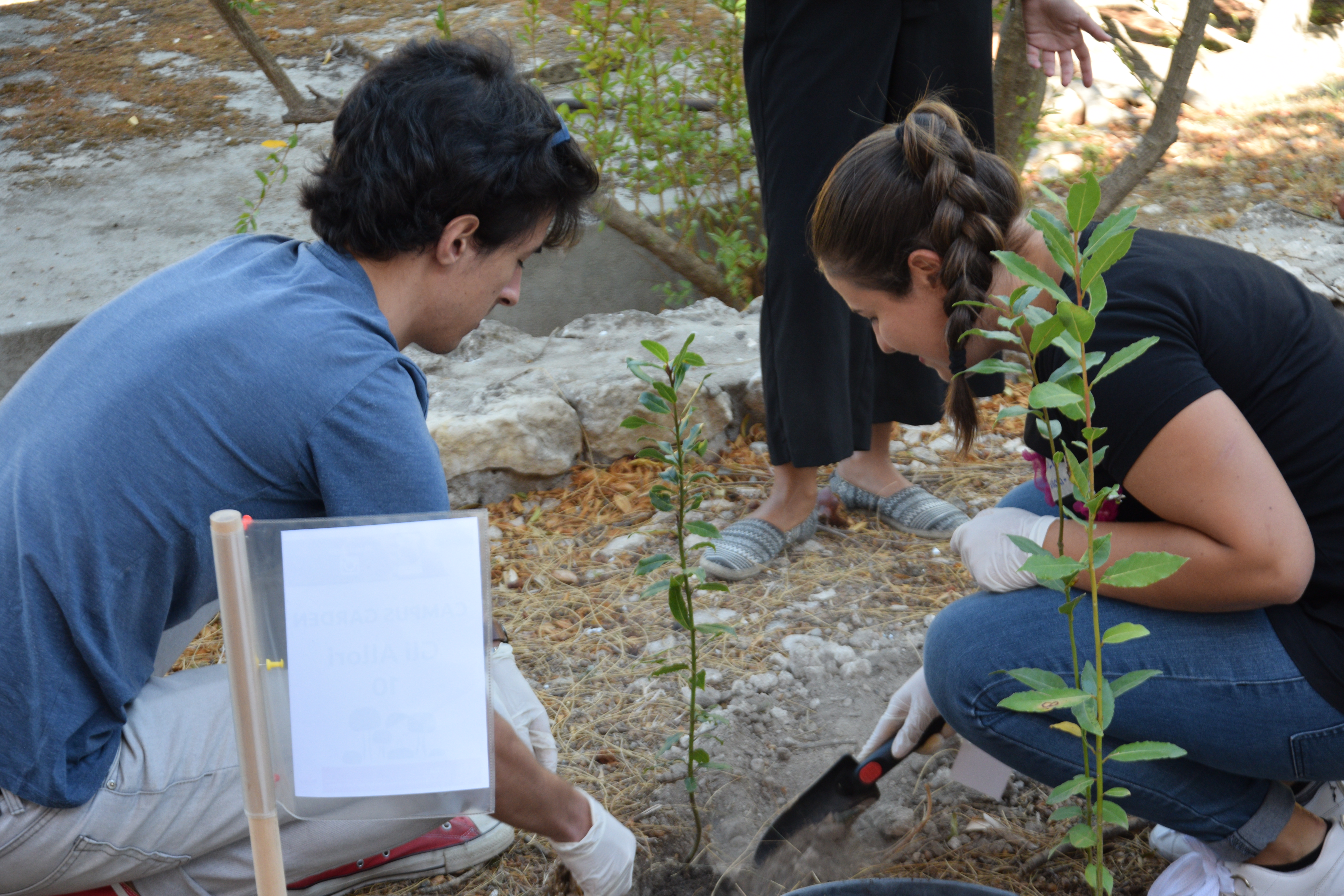 Campus Garden 14