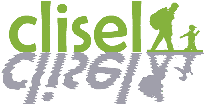 CLISEL 2020
