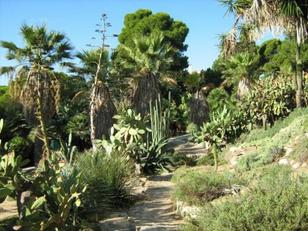 Orto Botanico