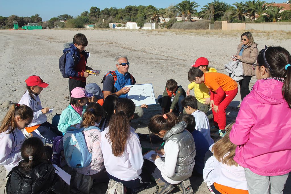 Il profilo, le zone dinamiche, il contatto tra la terra ed il mare