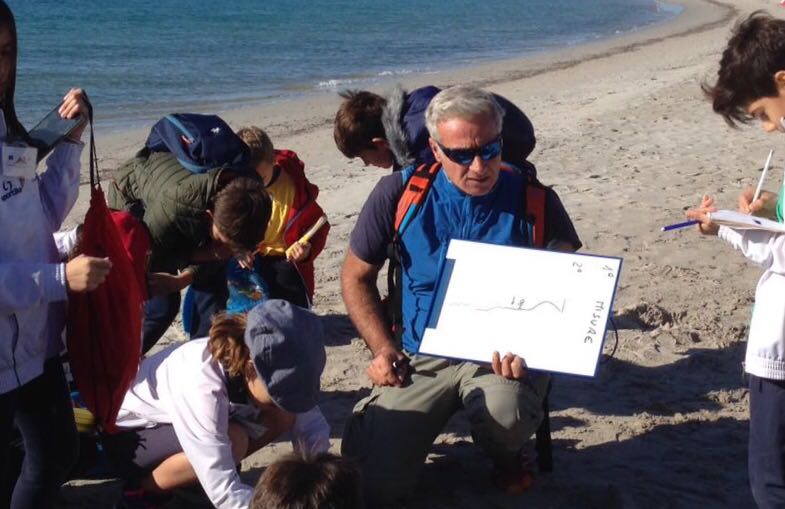 Ancora spiegazioni su come vivono le nostre spiagge