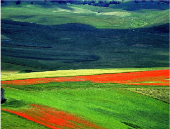 La scommessa del paesaggio