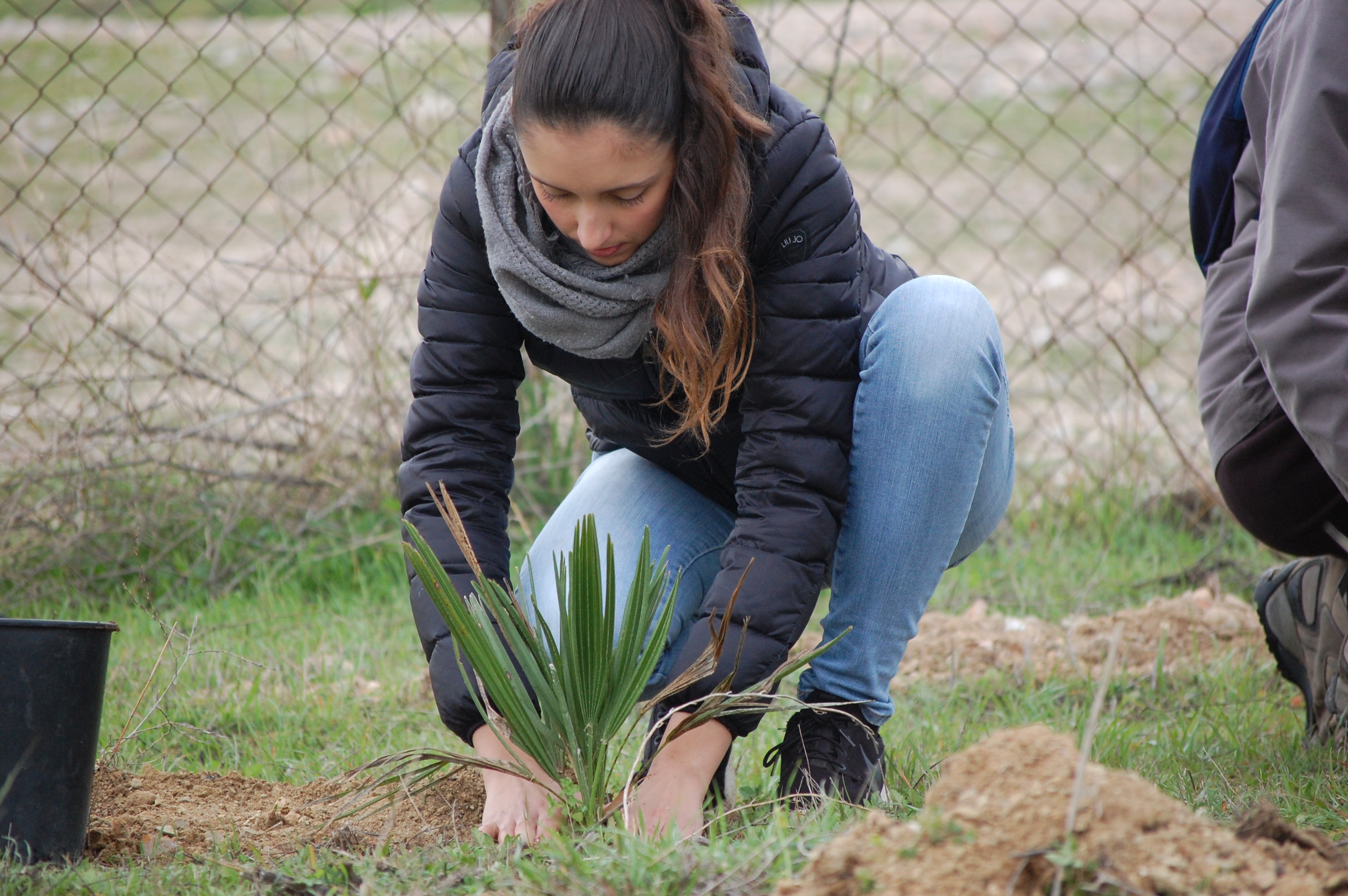 Unicaverde, studentessa impegnata nella piantumazione