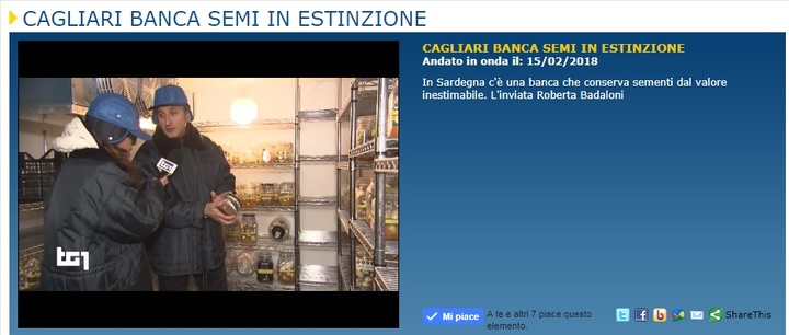 Il sito del Tg1