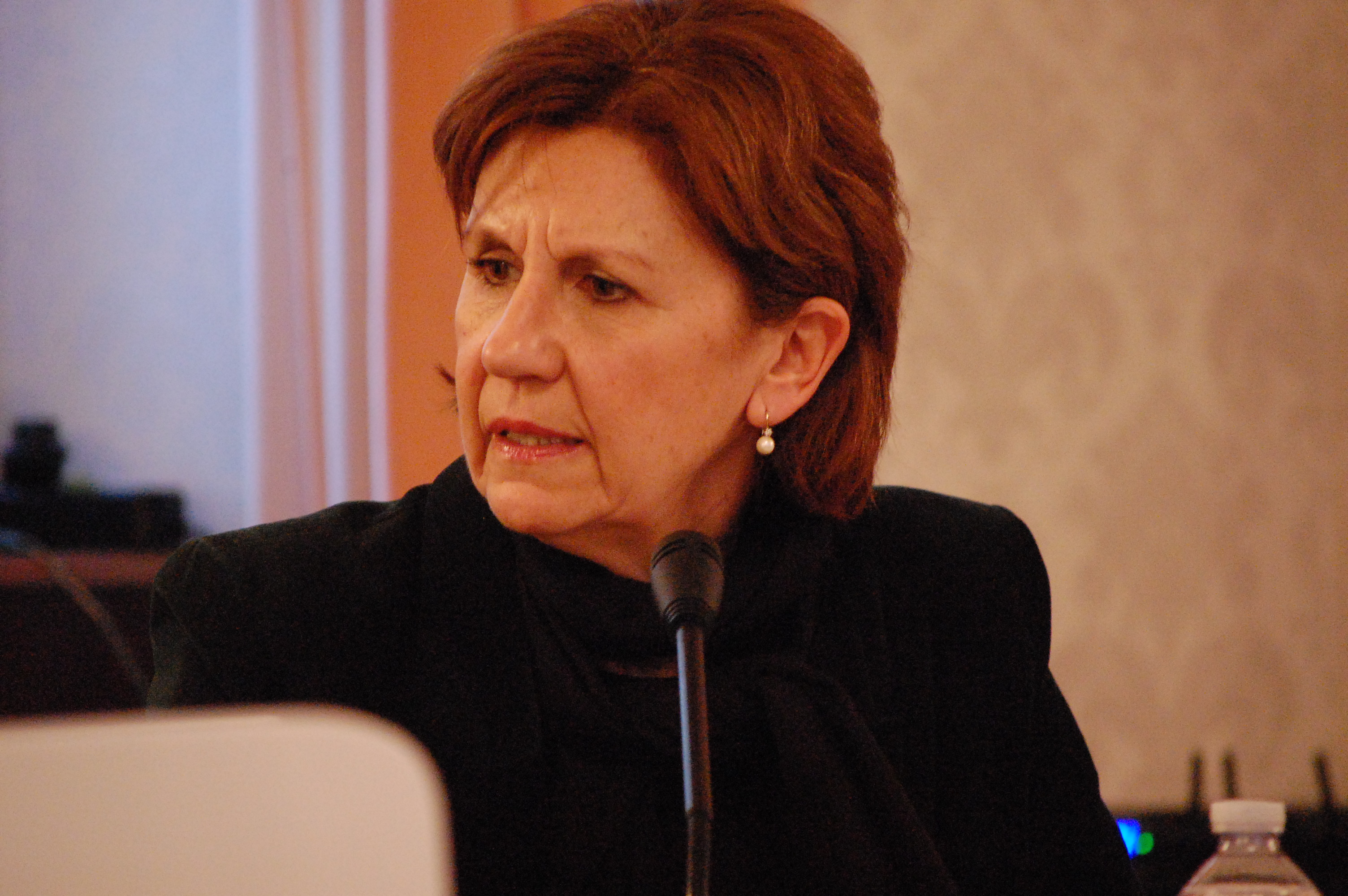 Micaela Morelli, Prorettore alla Ricerca