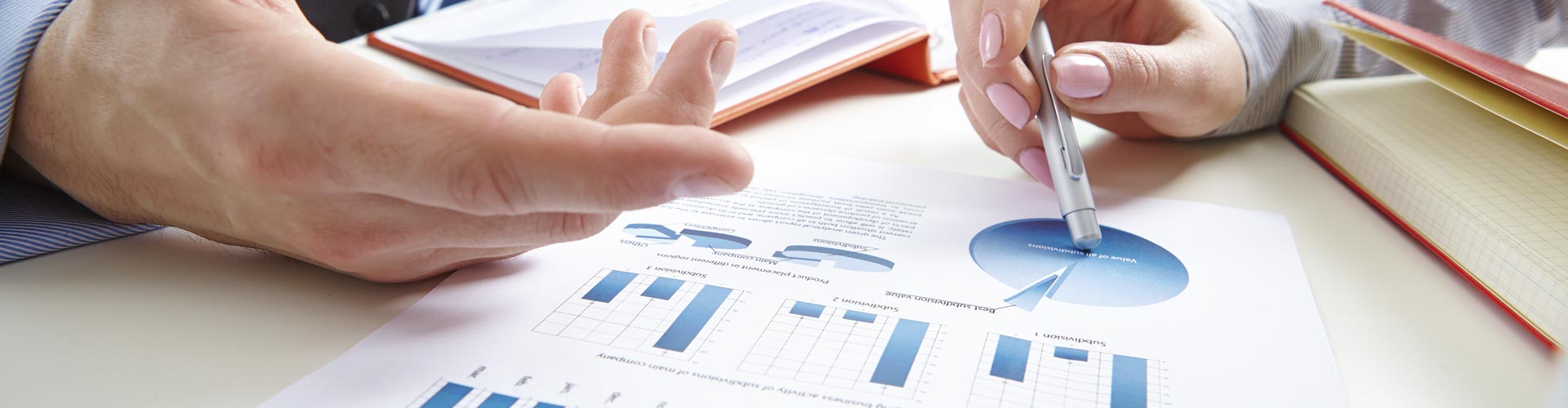 Scienze Economiche e Aziendali