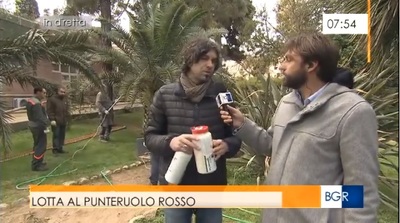 Simone Lupo Bagnacani intervista Gianluca Iiriti