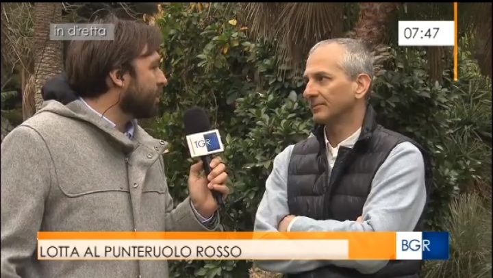 Gianluigi Bacchetta intervistato dal TG della RAI